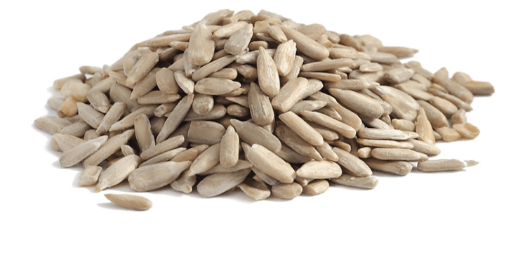 Ηλιόσπορος ψίχα 1kgr